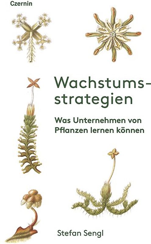 Wachstumsstrategien