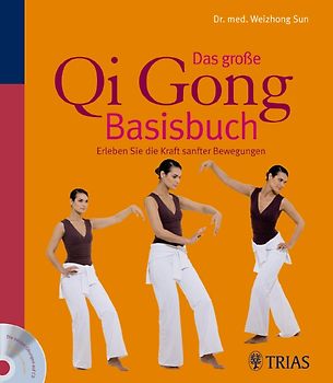 Das große Qi Gong Basisbuch