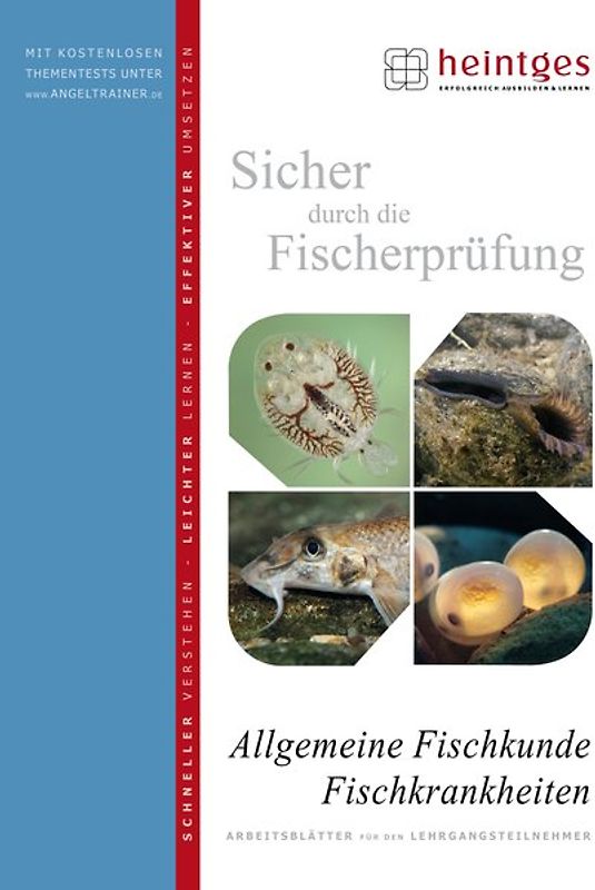 Allgemeine Fischkunde, Fischkrankheiten