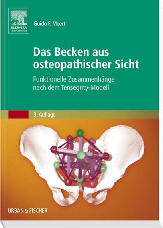Das Becken aus osteopathischer Sicht