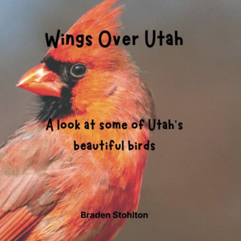 Wings Over Utah: A look at some of the different kinds of birds you can find in Utah.