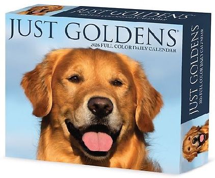 Goldens 2026 5.4 X 6.2 Box Calendar