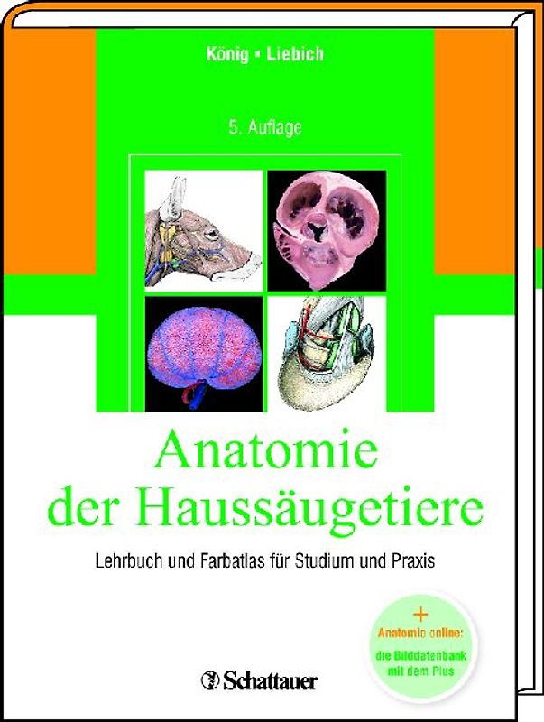 Anatomie der Haussäugetiere