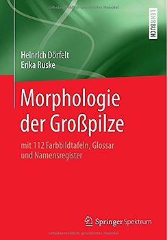 Morphologie der Großpilze