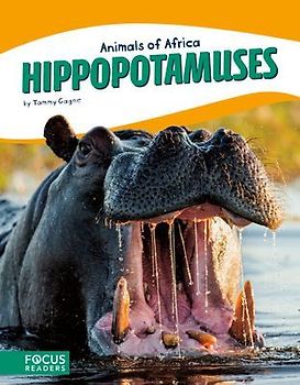 Hippopotamuses