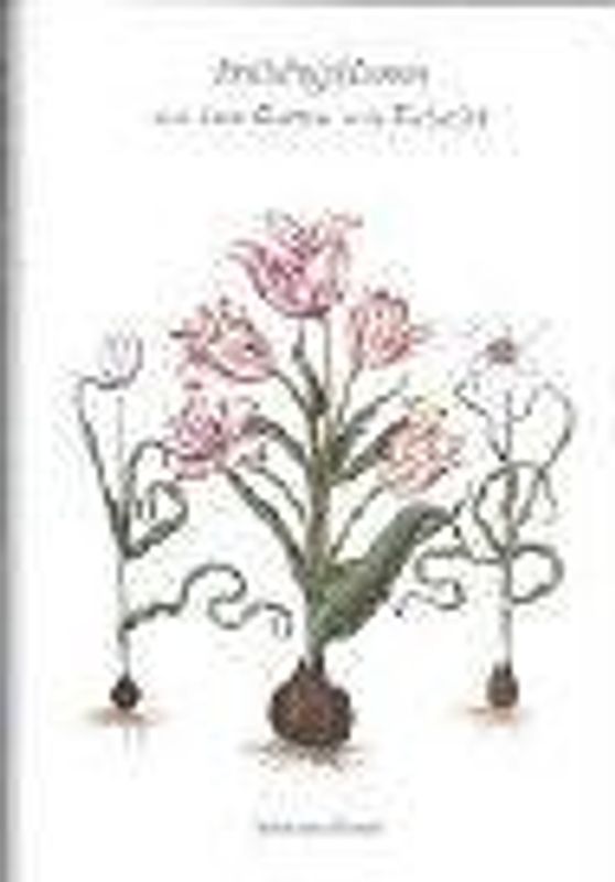 Frühlingsblumen aus dem Garten von Eichstätt