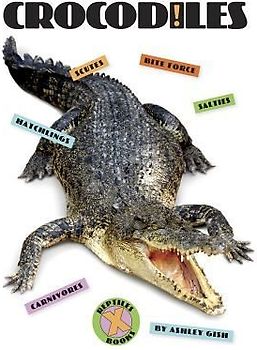 Crocodiles