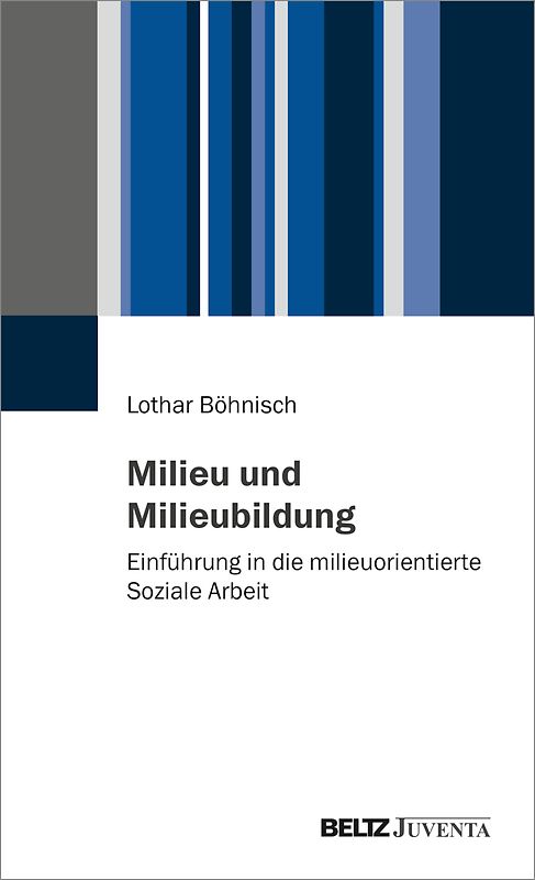 Milieu und Milieubildung