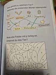 Kundenbild für LESEMAUS zum Lesenlernen Sammelbände: Conni-Geschichten zum Lesenlernen