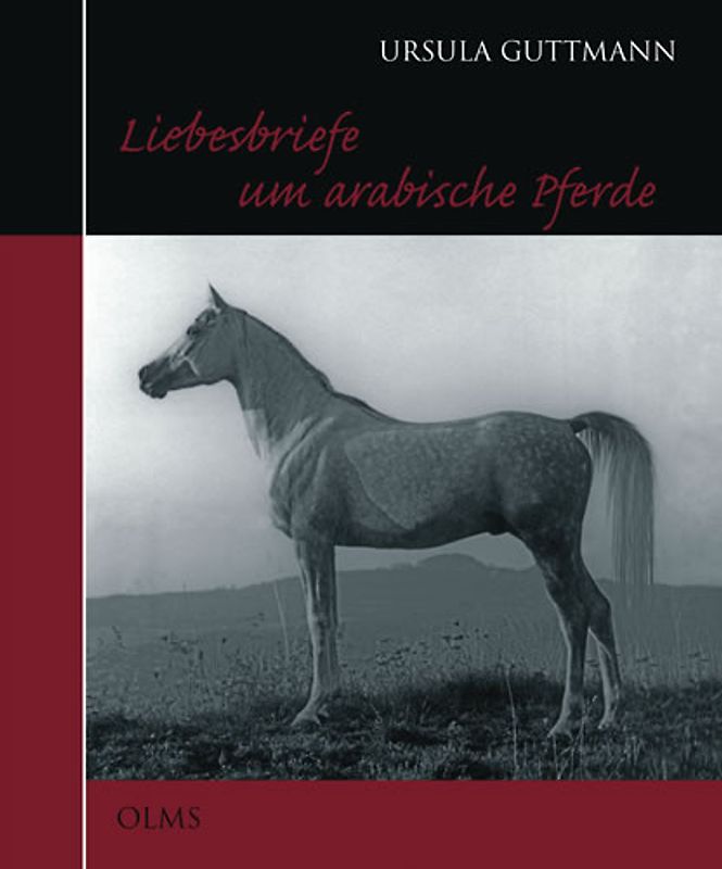 Liebesbriefe um arabische Pferde