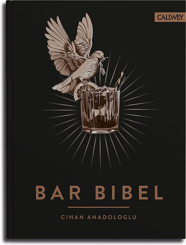 Bar Bibel
