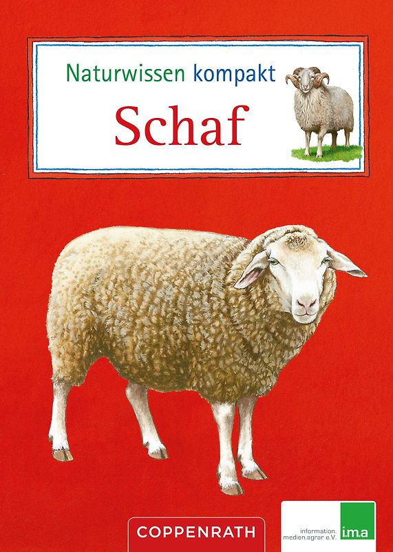 Naturwissen kompakt: Schaf
