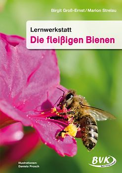 Lernwerkstatt Die fleißigen Bienen