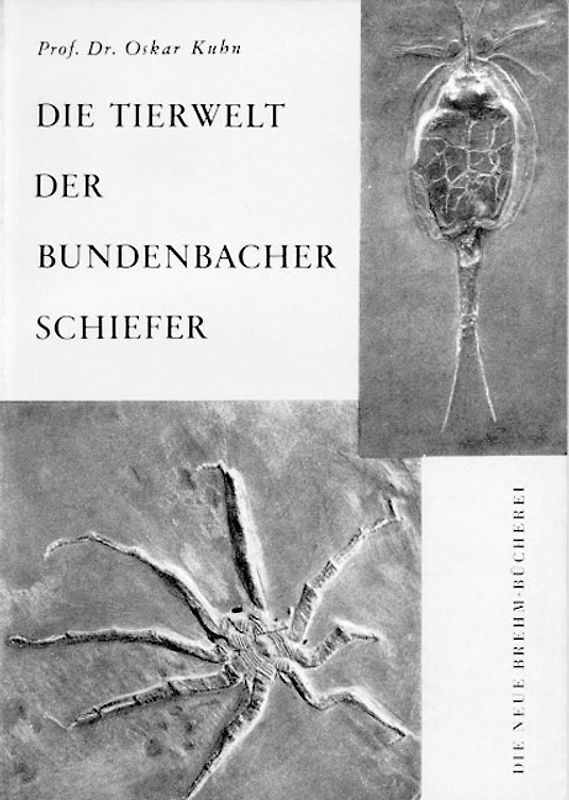 Die Tierwelt der Bundenbacher Schiefer
