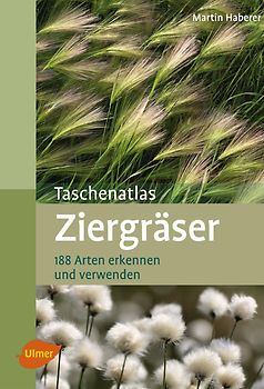 Ziergräser
