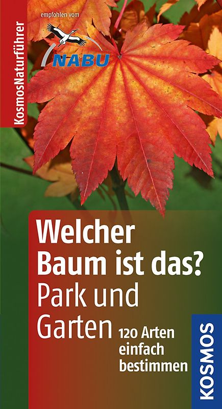 Welcher Baum ist das? in Park und Garten