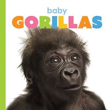 Baby Gorillas