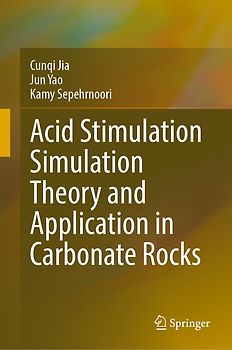 Acid Stimulation Simulation Theory and Application in Carbonate Rocks