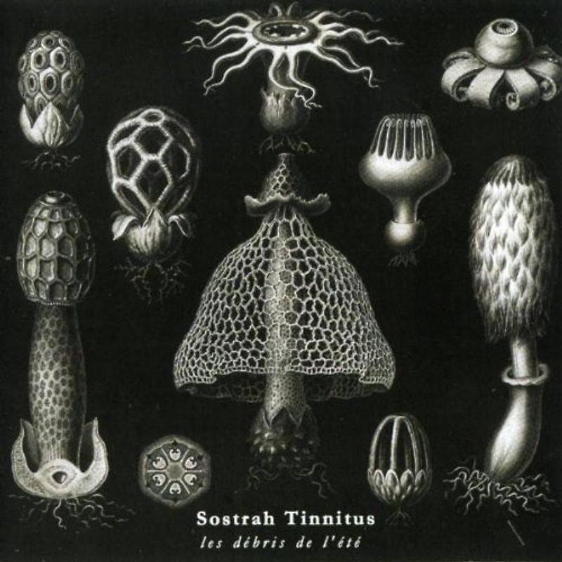 Sostrah Tinnitus - Les Debris de l'Ete