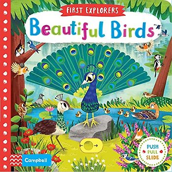 Beautiful Birds (Campbell First Explorers, 11, Band 11)