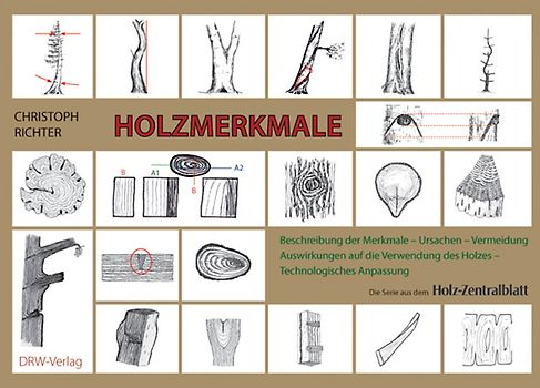 Holzmerkmale