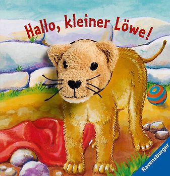 Hallo, kleiner Löwe!