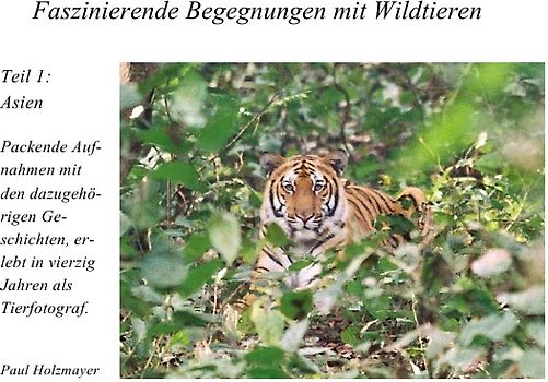 Faszinierende Begegnungen mit Wildtieren
