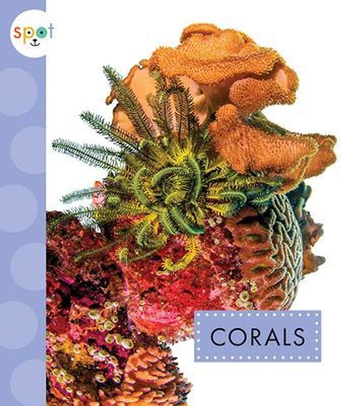 Corals