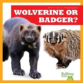 Wolverine or Badger?