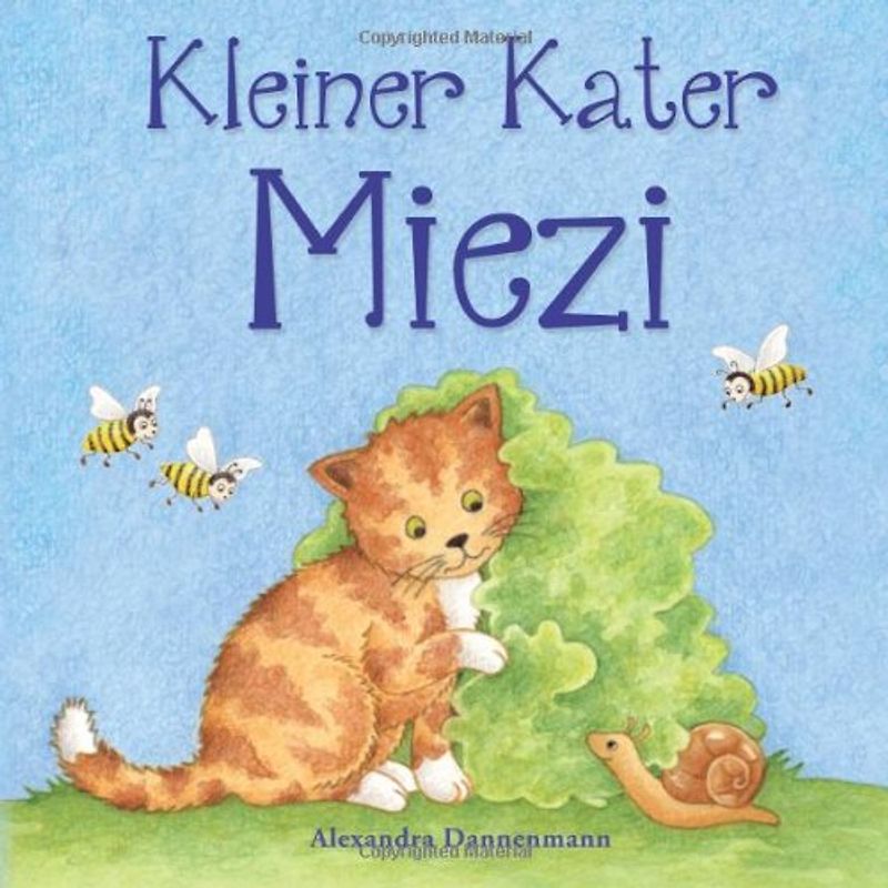 Kleiner Kater Miezi - Dannenmann, Alexandra