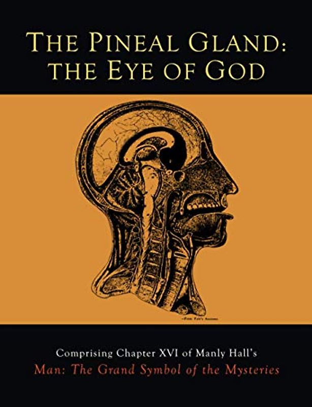 The Pineal Gland: The Eye of God (Dreamspun Desires, Band 31)