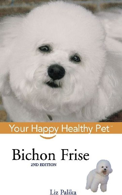 Bichon Frise
