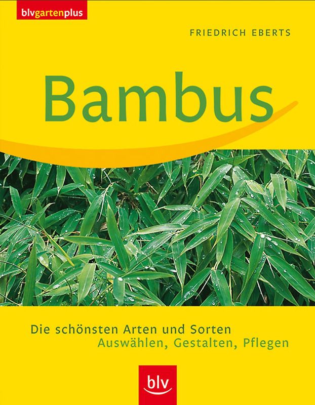Bambus