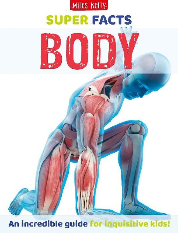 Super Facts Body