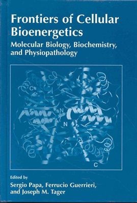 Frontiers of Cellular Bioenergetics
