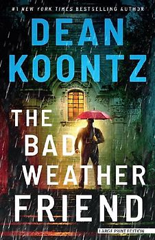 The Bad Weather Friend