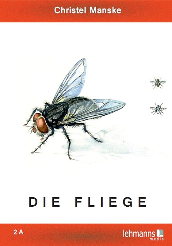 Die Fliege