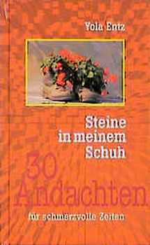 Steine in meinem Schuh. 30 Andachten für schmerzvolle Zeiten