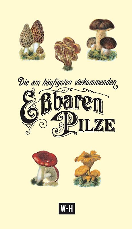 Die am häufigsten vorkommenden eßbaren Pilze
