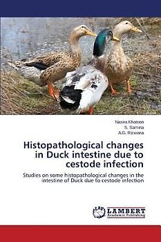Histopathological changes in Duck intestine due to cestode infection