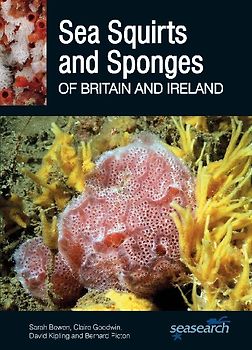 Sea Squirts and Sea Sponges of Britain and Ireland