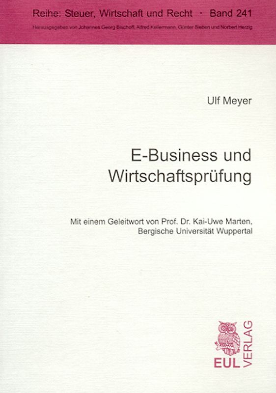 E-Business und Wirtschaftsprüfung