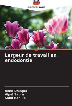 Largeur de travail en endodontie