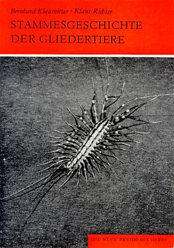 Die Stammesgeschichte der Gliedertiere