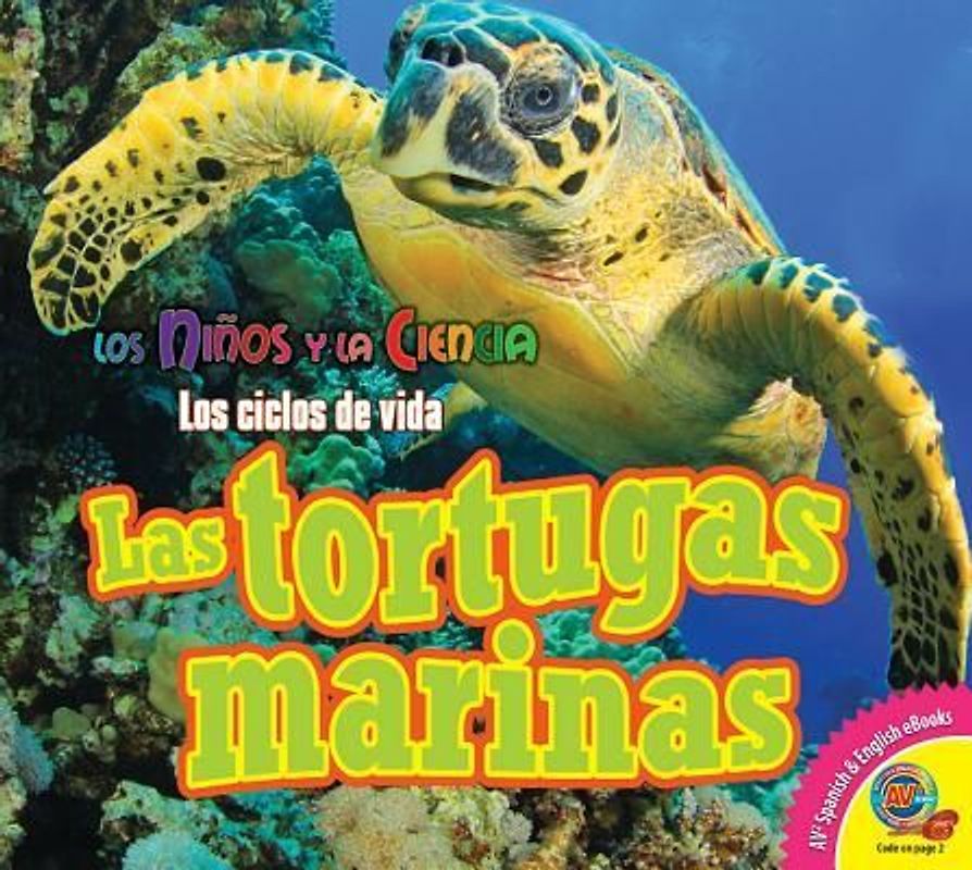Las Tortugas Marinas