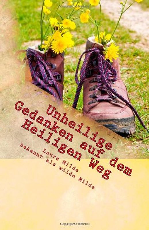 Unheilige Gedanken auf dem Heiligen Weg: Mein Jakobsweg quer durch Spanien - Milde, Laura