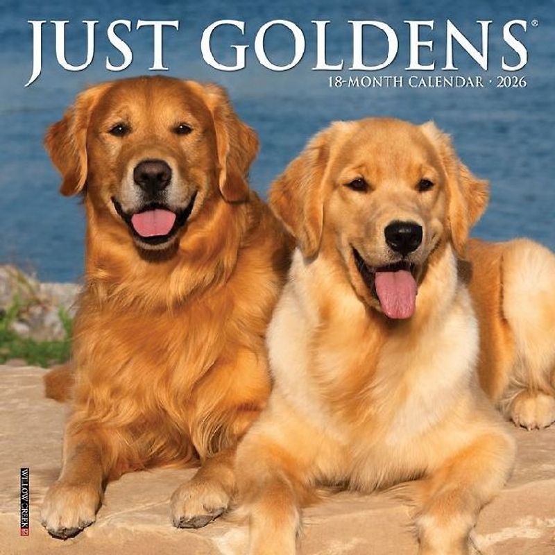 Just Goldens 2026 7 X 7 Mini Wall Calendar