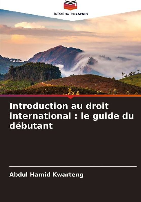 Introduction au droit international : le guide du débutant
