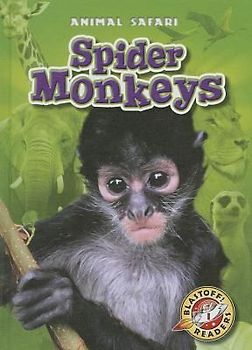 Spider Monkeys