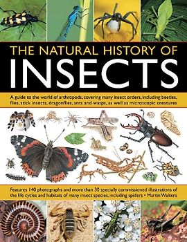 The Natural History of Insects